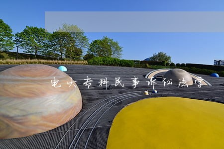 电大专科民事诉讼法学
