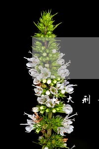 电大刑事诉讼法学期末考试答案 电大刑事诉讼法学期末考试答案