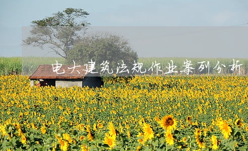 电大建筑法规作业案列分析 电大建筑法规作业案列分析