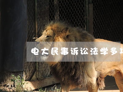 电大民事诉讼法学多项选择题 电大民事诉讼法学多项选择题