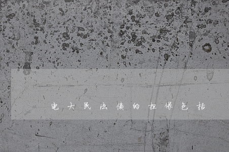 电大民法债的担保包括 电大民法债的担保包括