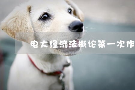 电大经济法概论第一次作业 电大经济法概论第一次作业
