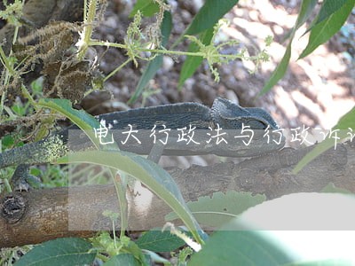 电大行政法与行政诉讼 电大行政法与行政诉讼