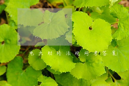 电大财经法规网考答案