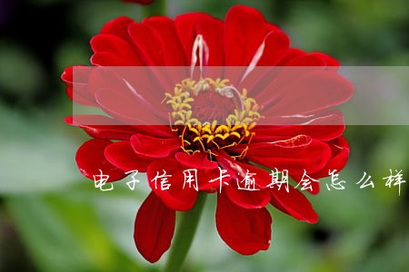 电子信用卡逾期会怎么样 电子信用卡逾期会怎么样