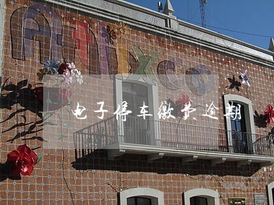 电子停车缴费逾期 电子停车缴费逾期