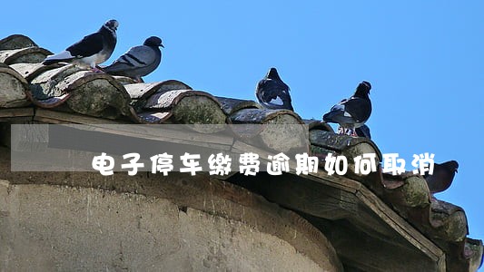 电子停车缴费逾期如何取消 电子停车缴费逾期如何取消