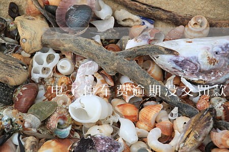 电子停车费逾期没交罚款吗 电子停车费逾期没交罚款吗