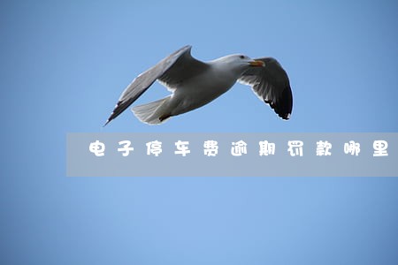 电子停车费逾期罚款哪里交 电子停车费逾期罚款哪里交