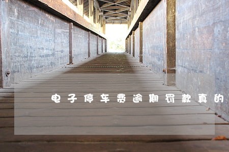 电子停车费逾期罚款真的罚吗 电子停车费逾期罚款真的罚吗
