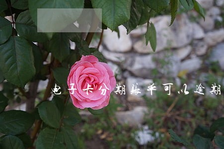 电子卡分期账单可以逾期多久