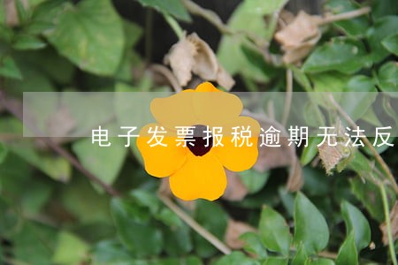 电子发票报税逾期无法反写 电子发票报税逾期无法反写