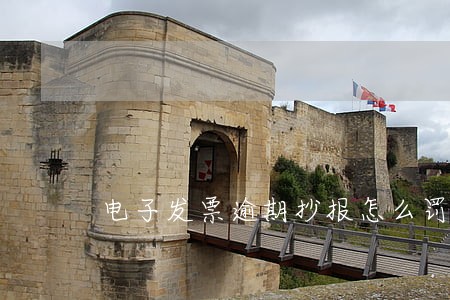 电子发票逾期抄报怎么罚款 电子发票逾期抄报怎么罚款
