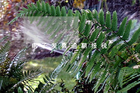 电子发票逾期报税 电子发票逾期报税