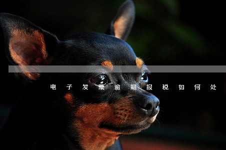 电子发票逾期报税如何处理 电子发票逾期报税如何处理