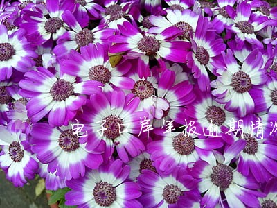 电子口岸年报逾期情况说明 电子口岸年报逾期情况说明