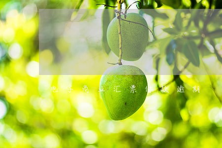 电子商业汇票付款逾期 电子商业汇票付款逾期