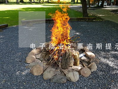 电子商业汇票逾期提示付款原因