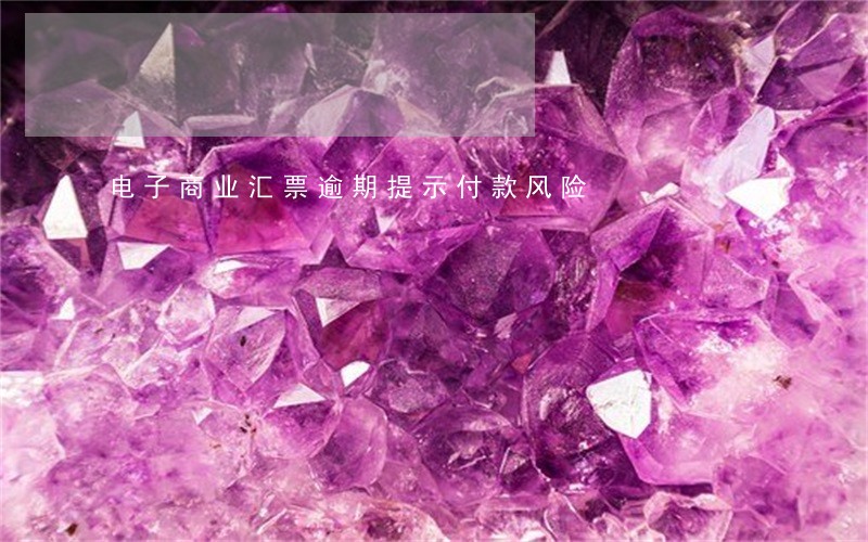 电子商业汇票逾期提示付款风险 电子商业汇票逾期提示付款风险