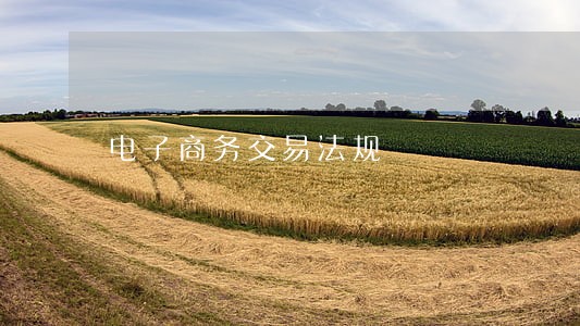 电子商务交易法规