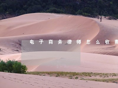电子商务律师怎么收费的 电子商务律师怎么收费的