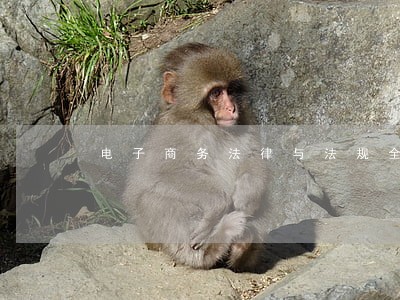 电子商务法律与法规全18讲视频 电子商务法律与法规全18讲视频