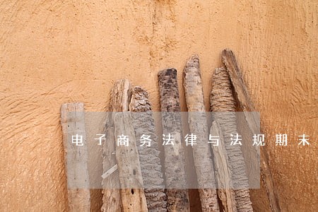 电子商务法律与法规期末考试 电子商务法律与法规期末考试