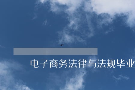 电子商务法律与法规毕业论文 电子商务法律与法规毕业论文