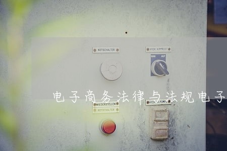 电子商务法律与法规电子资金规 电子商务法律与法规电子资金规