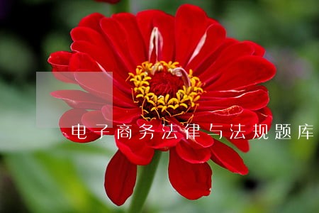 电子商务法律与法规题库 电子商务法律与法规题库