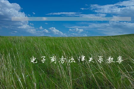 电子商务法律关系教案 电子商务法律关系教案