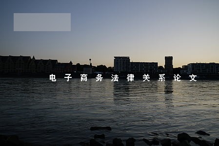 电子商务法律关系论文