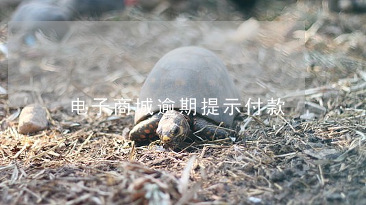 电子商城逾期提示付款 电子商城逾期提示付款