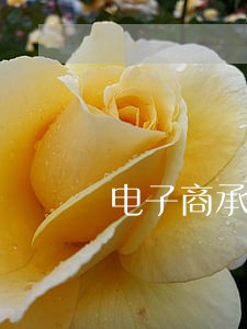 电子商承逾期提示付款说明怎么写 电子商承逾期提示付款说明怎么写