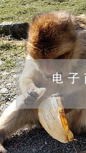 电子商票律师官司 电子商票律师官司
