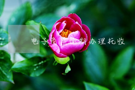 电子商票逾期办理托收