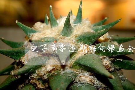 电子商票逾期能向银监会投诉吗 电子商票逾期能向银监会投诉吗