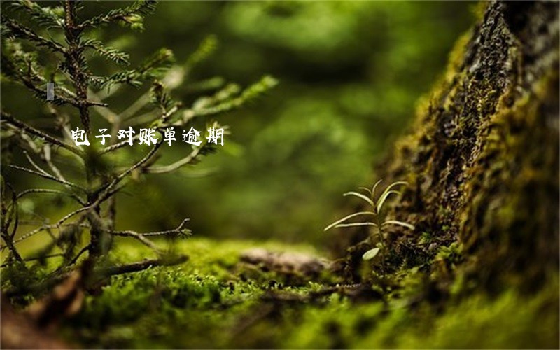 电子对账单逾期
