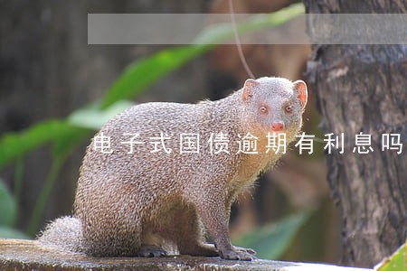 电子式国债逾期有利息吗 电子式国债逾期有利息吗