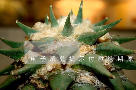 电子承兑提示付款逾期原因 电子承兑提示付款逾期原因