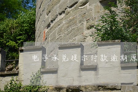 电子承兑提示付款逾期原因说明 电子承兑提示付款逾期原因说明