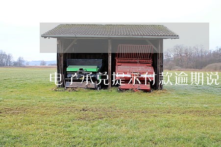 电子承兑提示付款逾期说明 电子承兑提示付款逾期说明