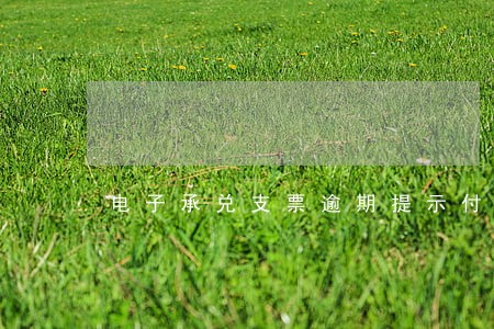 电子承兑支票逾期提示付款 电子承兑支票逾期提示付款