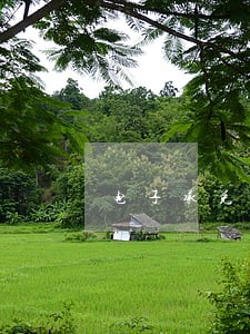 电子承兑汇票逾期一天会怎样 电子承兑汇票逾期一天会怎样