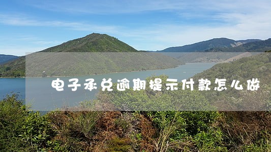 电子承兑逾期提示付款怎么做 电子承兑逾期提示付款怎么做