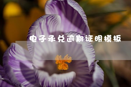 电子承兑逾期证明模板 电子承兑逾期证明模板