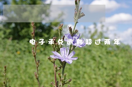 电子承兑逾期超过两年 电子承兑逾期超过两年