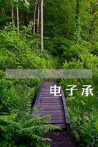 电子承兑逾期还款提示 电子承兑逾期还款提示