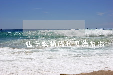 电子数据浅析司法前沿 电子数据浅析司法前沿