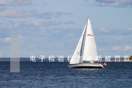 电子检验标志逾期被罚款 电子检验标志逾期被罚款